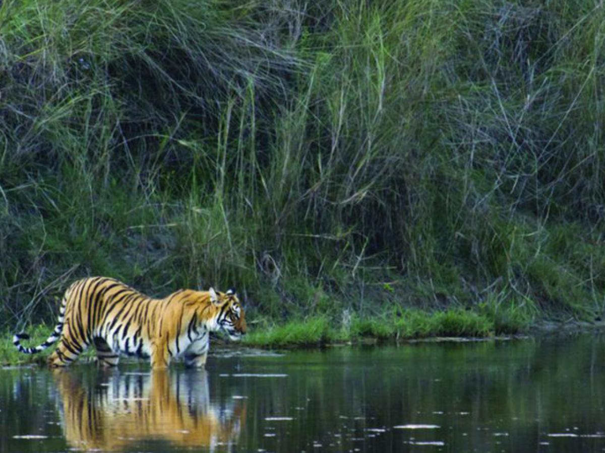Corbett Treat Resort รามนาการ์ ภายนอก รูปภาพ