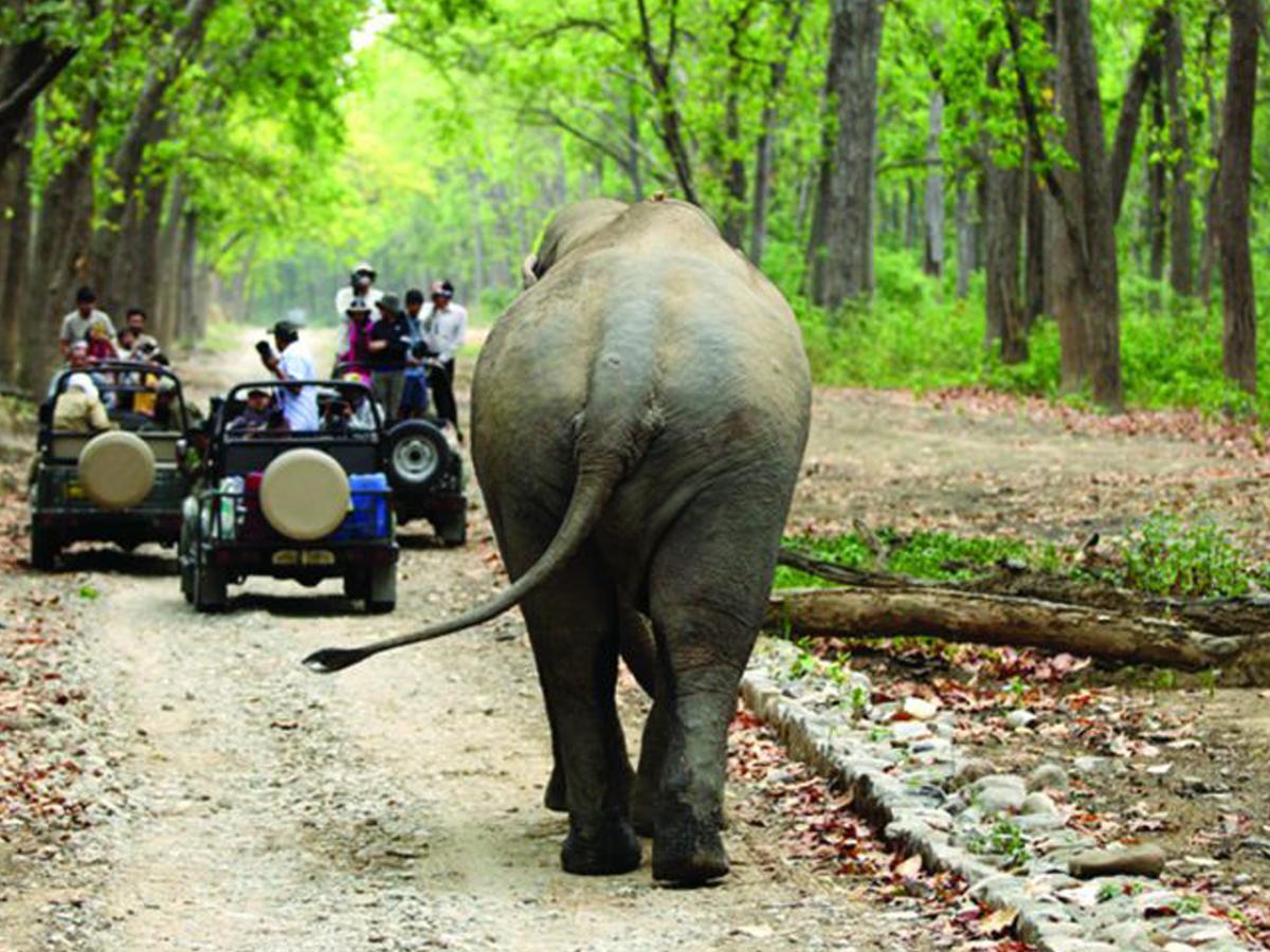 Corbett Treat Resort รามนาการ์ ภายนอก รูปภาพ